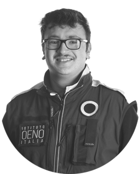 Cristian Parsani